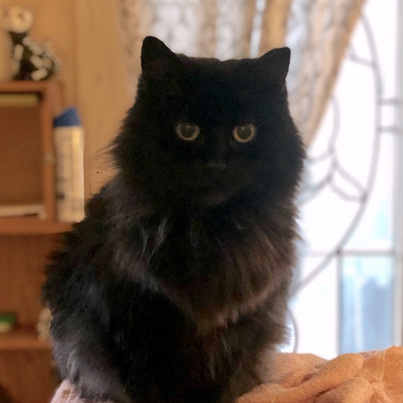 Meet your Posher, Ben - Picture 1 of 1